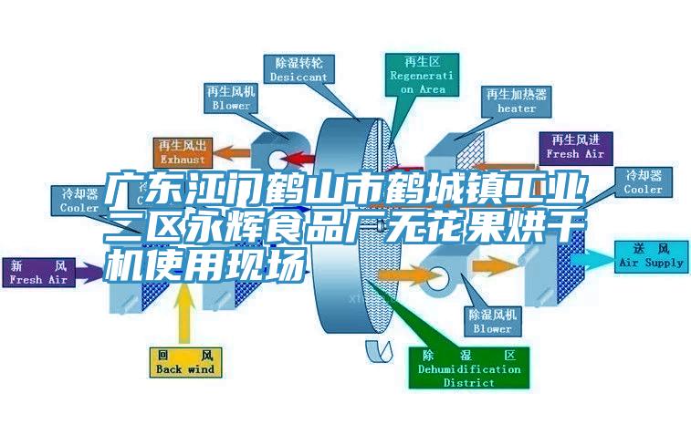 廣東江門鶴山市鶴城鎮工業二區永輝食品廠無花果烘干機使用現場