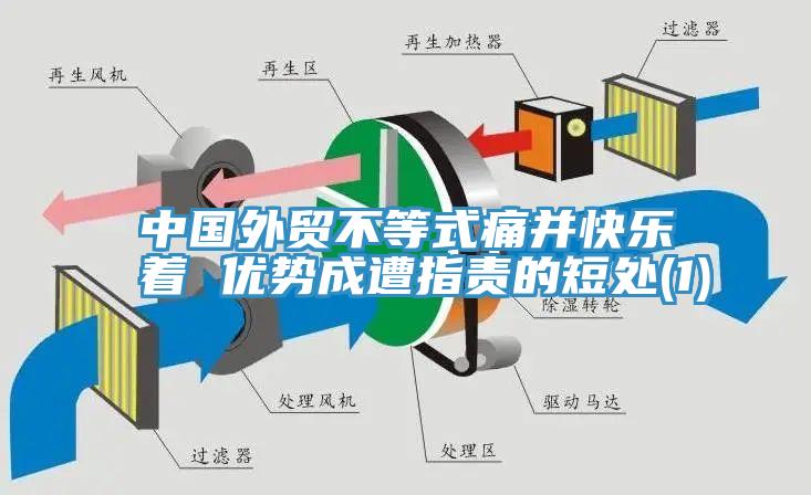 中國外貿不等式痛并快樂著 優勢成遭指責的短處(1)