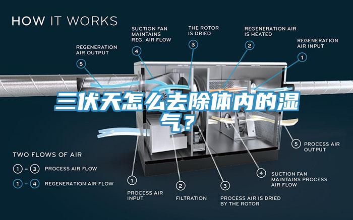 三伏天怎么去除體內的濕氣？