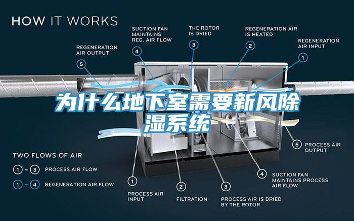 為什么地下室需要新風除濕系統