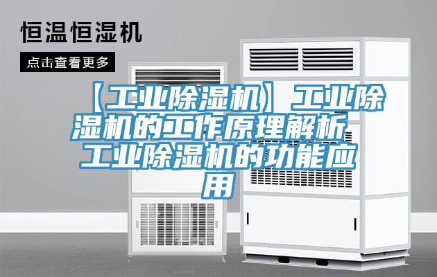 【工業除濕機】工業除濕機的工作原理解析 工業除濕機的功能應用