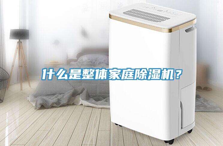 什么是整體家庭除濕機？