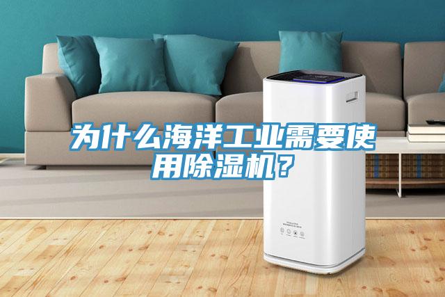 為什么海洋工業(yè)需要使用除濕機？