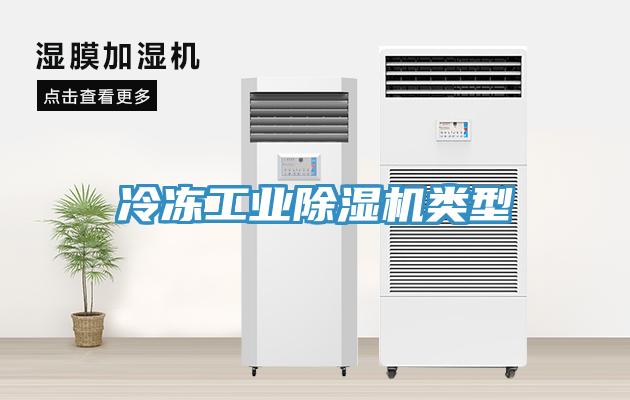 冷凍工業除濕機類型