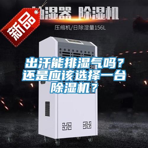 出汗能排濕氣嗎？還是應(yīng)該選擇一臺除濕機(jī)？