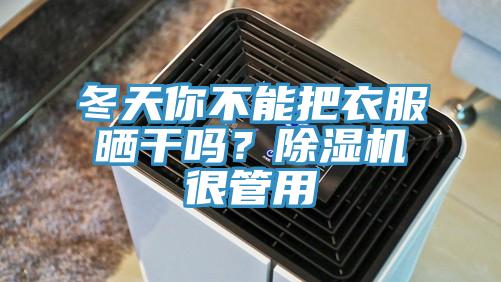 冬天你不能把衣服曬干嗎？除濕機很管用