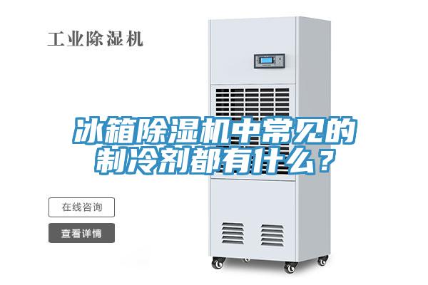 冰箱除濕機中常見的制冷劑都有什么？