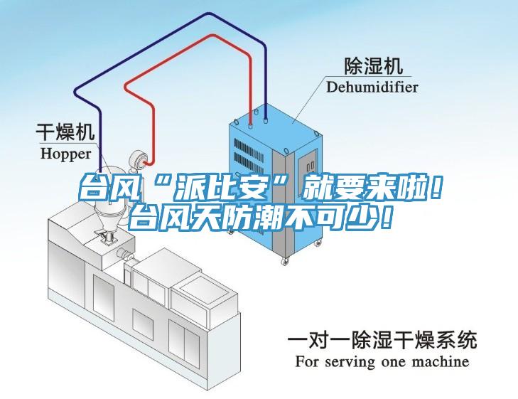 臺風“派比安”就要來啦！臺風天防潮不可少！