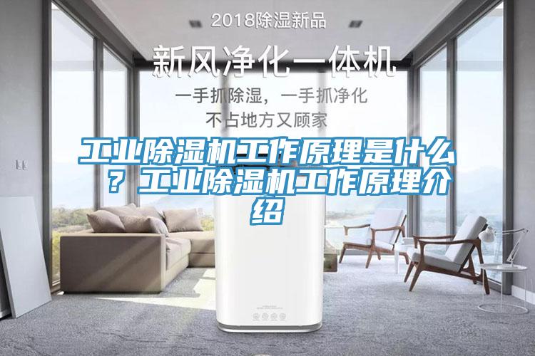 工業除濕機工作原理是什么 ？工業除濕機工作原理介紹