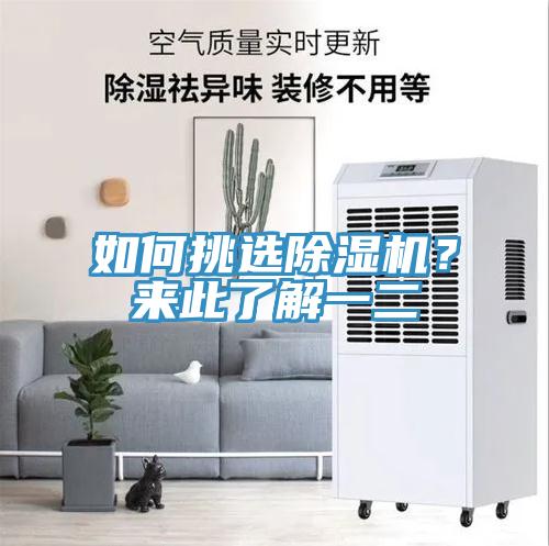 如何挑選除濕機？來此了解一二