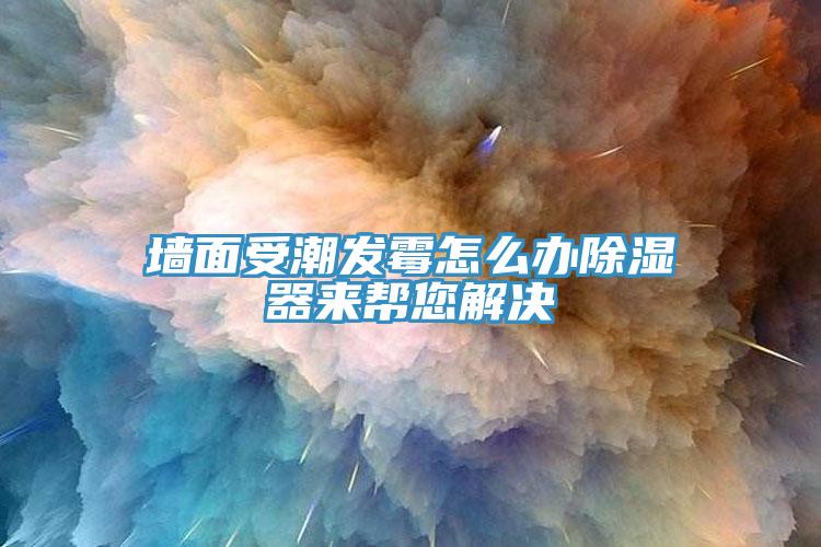 墻面受潮發霉怎么辦除濕器來幫您解決