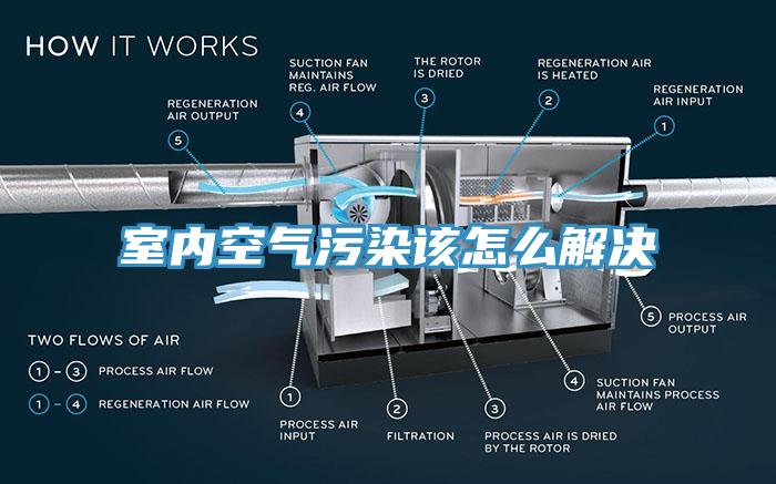 室內空氣污染該怎么解決