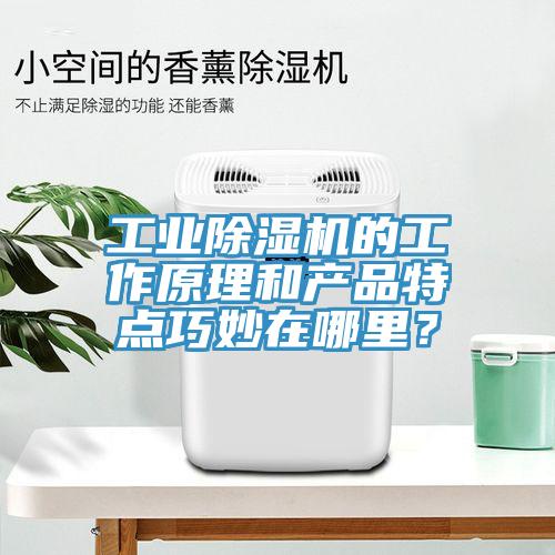 工業除濕機的工作原理和產品特點巧妙在哪里？