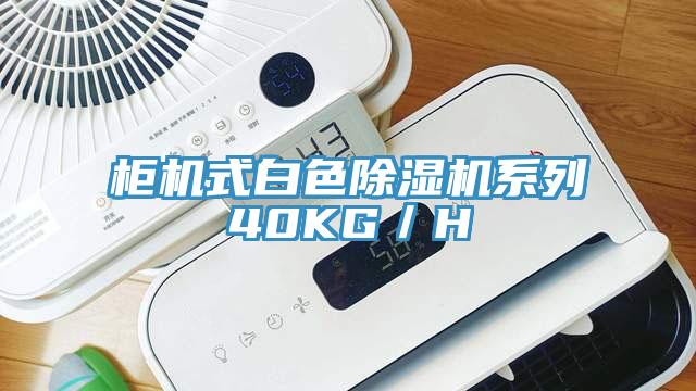 柜機式白色除濕機系列40KG／H