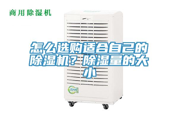 怎么選購適合自己的除濕機？除濕量的大小