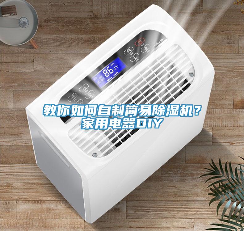 教你如何自制簡(jiǎn)易除濕機(jī)？家用電器DIY