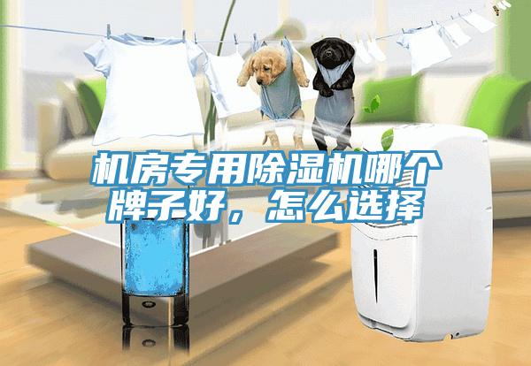 機房專用除濕機哪個牌子好，怎么選擇