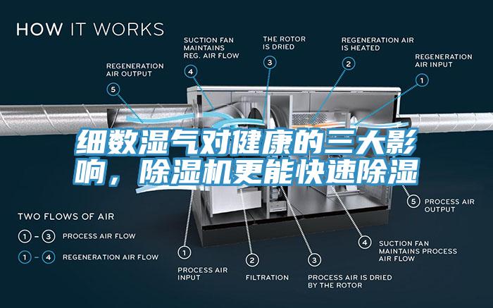 細數濕氣對健康的三大影響，除濕機更能快速除濕