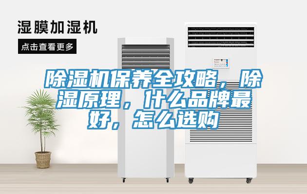 除濕機保養全攻略，除濕原理，什么品牌最好，怎么選購