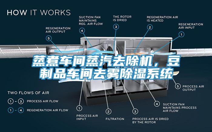 蒸煮車間蒸汽去除機，豆制品車間去霧除濕系統