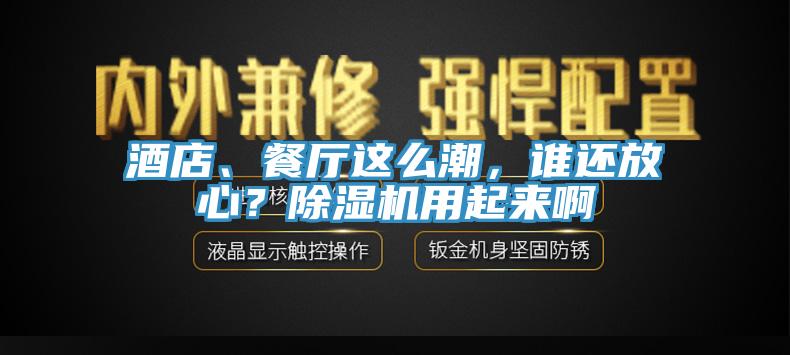 酒店、餐廳這么潮，誰還放心？除濕機用起來啊