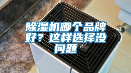 除濕機哪個品牌好？這樣選擇沒問題