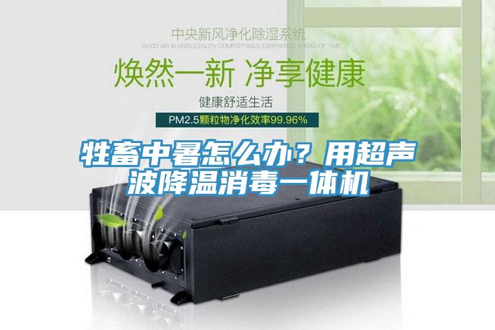 牲畜中暑怎么辦？用超聲波降溫消毒一體機(jī)