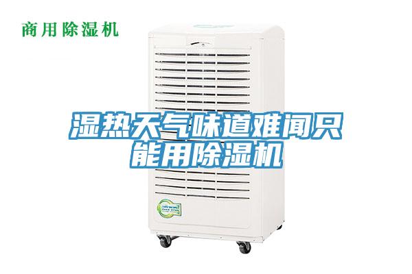 濕熱天氣味道難聞只能用除濕機