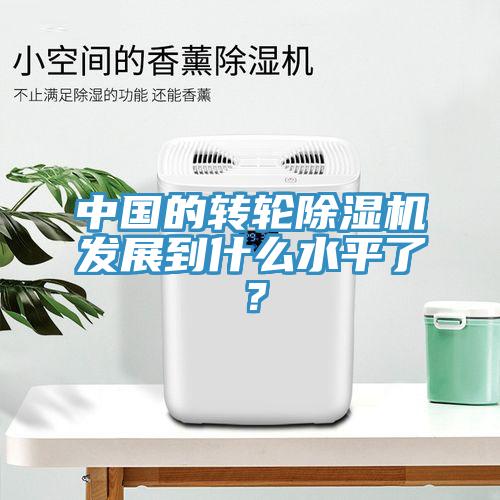 中國的轉(zhuǎn)輪除濕機(jī)發(fā)展到什么水平了？