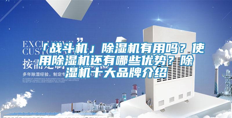 「戰斗機」除濕機有用嗎？使用除濕機還有哪些優勢？除濕機十大品牌介紹