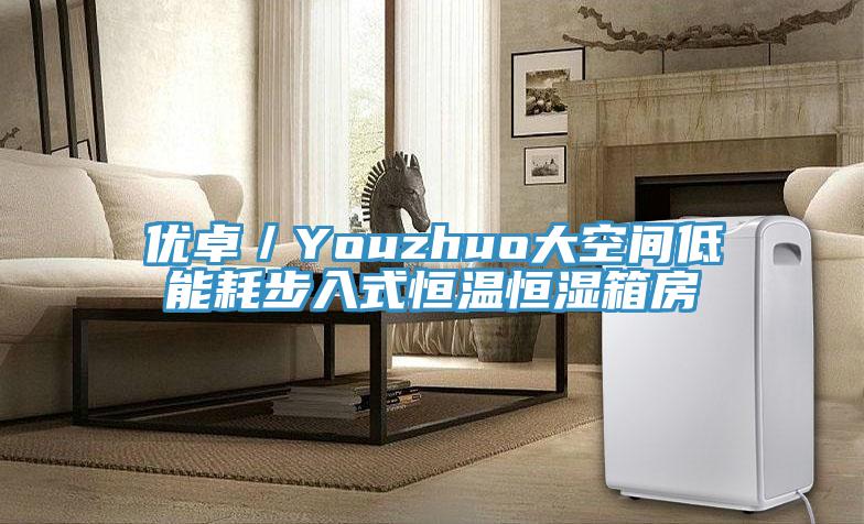 優卓／Youzhuo大空間低能耗步入式恒溫恒濕箱房