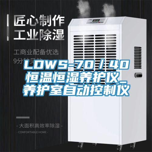 LDWS-70／40恒溫恒濕養護儀_養護室自動控制儀