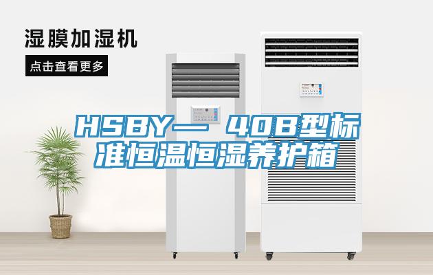 HSBY— 40B型標準恒溫恒濕養護箱