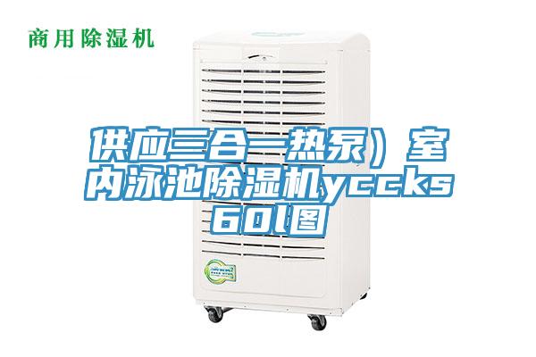 供應三合一熱泵）室內泳池除濕機yccks60l圖