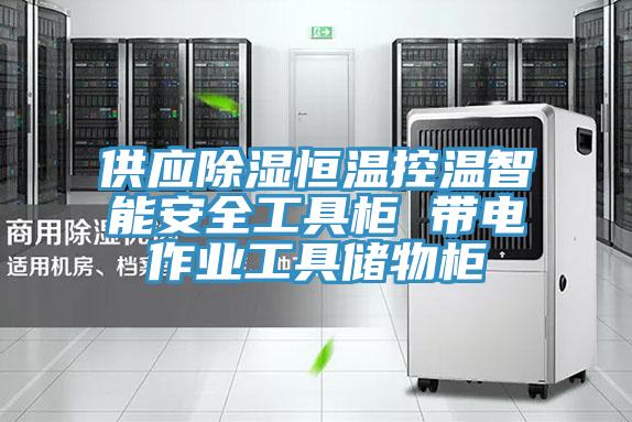 供應除濕恒溫控溫智能安全工具柜 帶電作業工具儲物柜