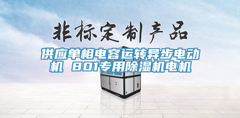 供應單相電容運轉異步電動機 801專用除濕機電機