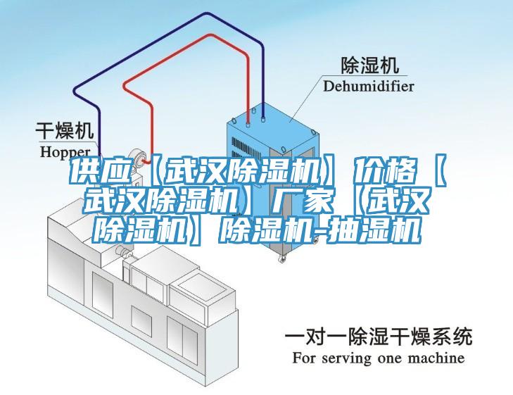 供應【武漢除濕機】價格【武漢除濕機】廠家【武漢除濕機】除濕機-抽濕機