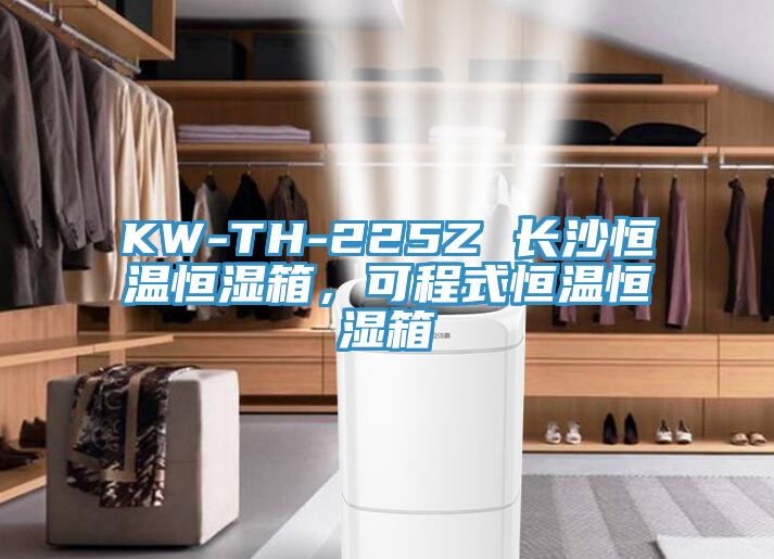 KW-TH-225Z 長沙恒溫恒濕箱，可程式恒溫恒濕箱