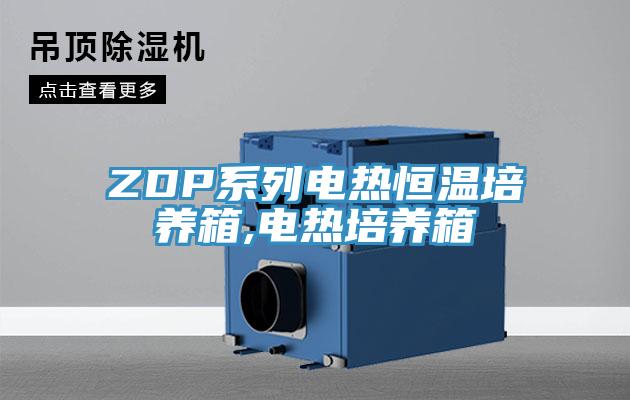 ZDP系列電熱恒溫培養箱,電熱培養箱