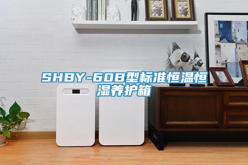 SHBY-60B型標準恒溫恒濕養護箱