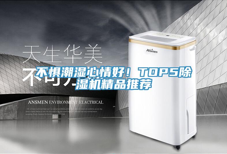 不懼潮濕心情好！TOP5除濕機精品推薦