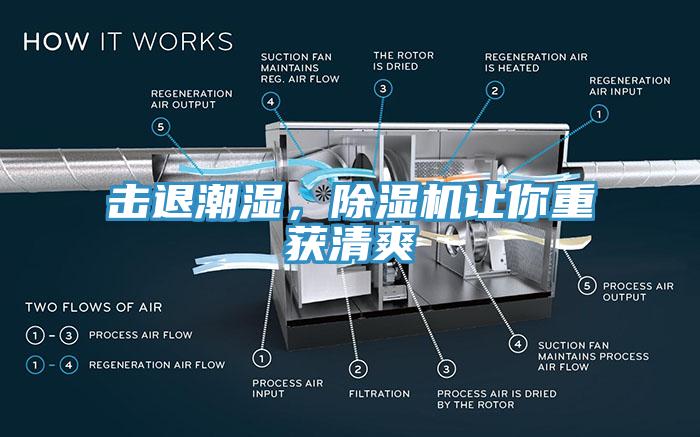 擊退潮濕，除濕機讓你重獲清爽