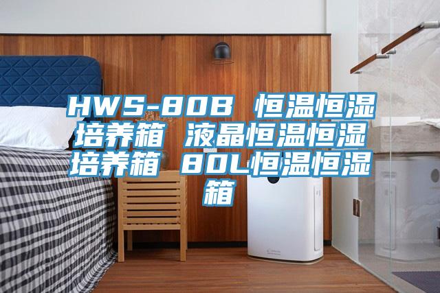 HWS-80B 恒溫恒濕培養箱 液晶恒溫恒濕培養箱 80L恒溫恒濕箱