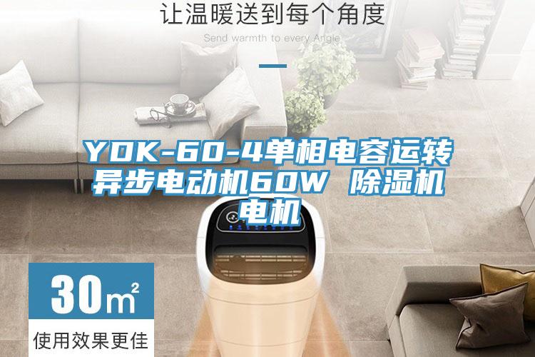 YDK-60-4單相電容運轉(zhuǎn)異步電動機60W 除濕機電機