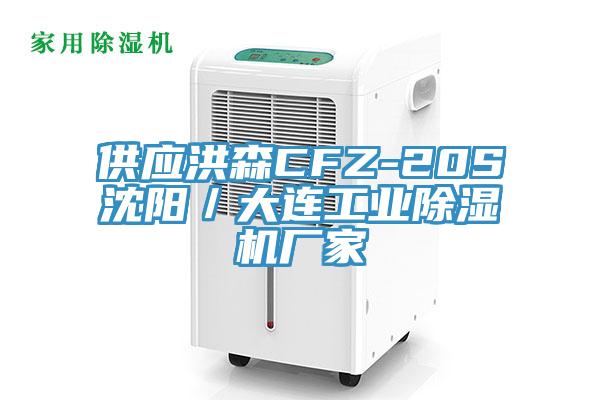 供應洪森CFZ-20S沈陽／大連工業除濕機廠家