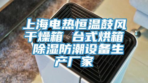 上海電熱恒溫鼓風干燥箱 臺式烘箱 除濕防潮設備生產廠家