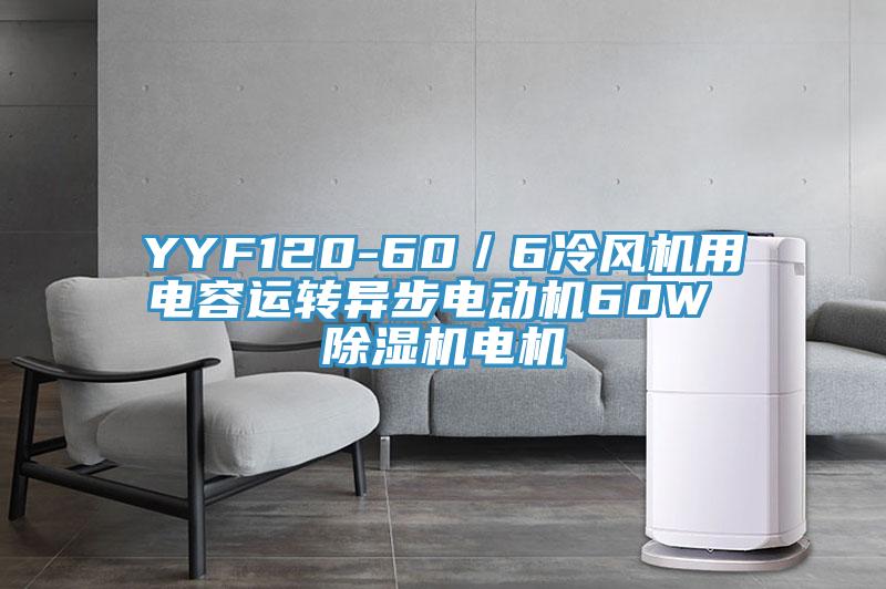 YYF120-60／6冷風機用電容運轉(zhuǎn)異步電動機60W 除濕機電機