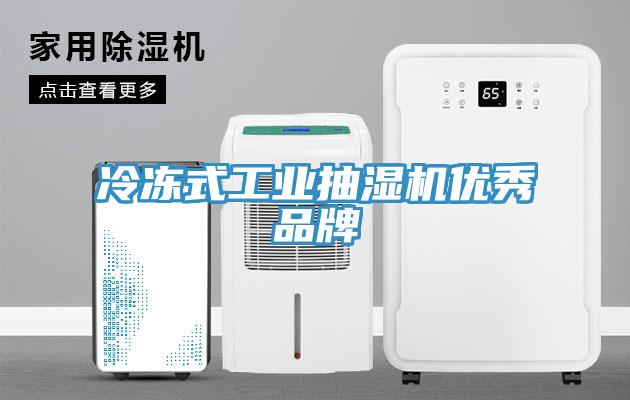 冷凍式工業(yè)抽濕機優(yōu)秀品牌