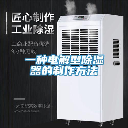 一種電解型除濕器的制作方法