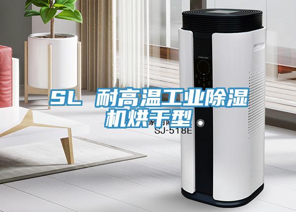 SL 耐高溫工業除濕機烘干型